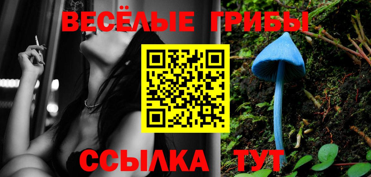 Галлюциногенные грибы мицелий Рубцовск