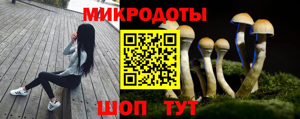 Псилоцибиновые грибы Psilocybine cubensis  Вход с VPN  Псилоцибиновые грибы Psilocybine cubensis  Рубцовск 